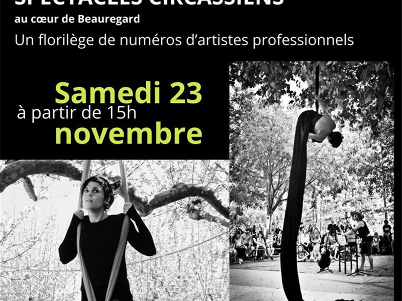 Spectacles Circassiens au coeur de Beauregard